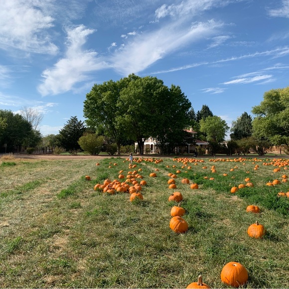 Meet your Posher, Rachel - Picture 1 of 1